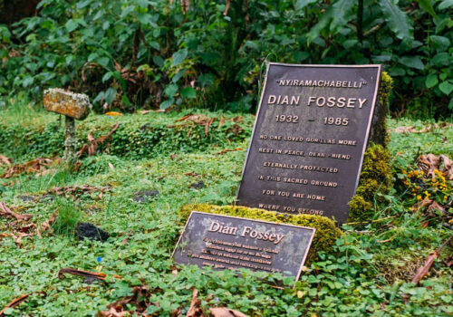 4 Days Gorilla Trekking and Dian Fossey Tomb Hike