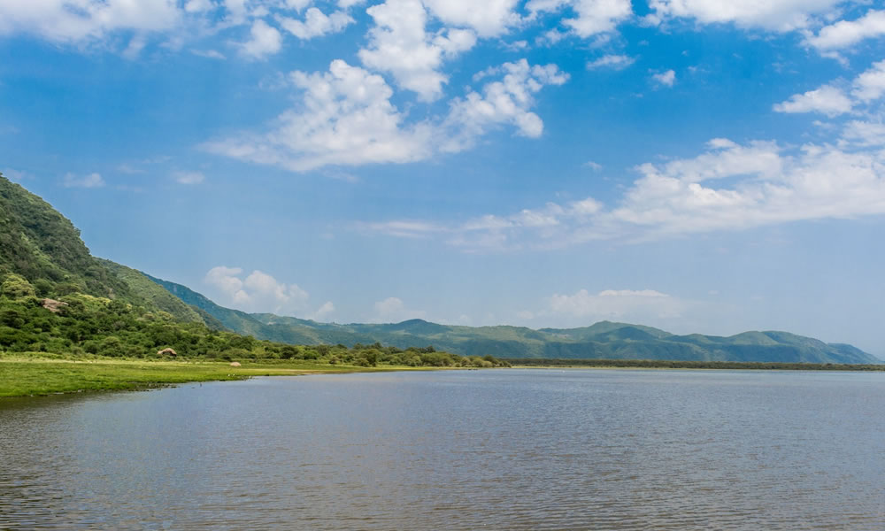 3 Days Lake Manyara National Park Tour