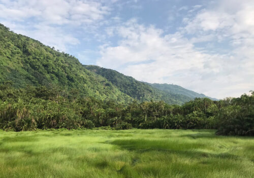 Semuliki National Park