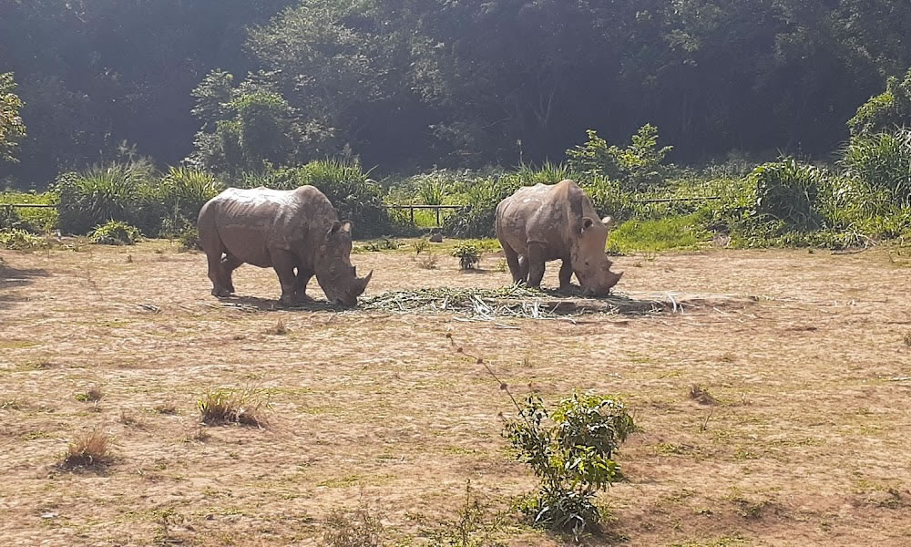 Uganda Wildlife Education Center