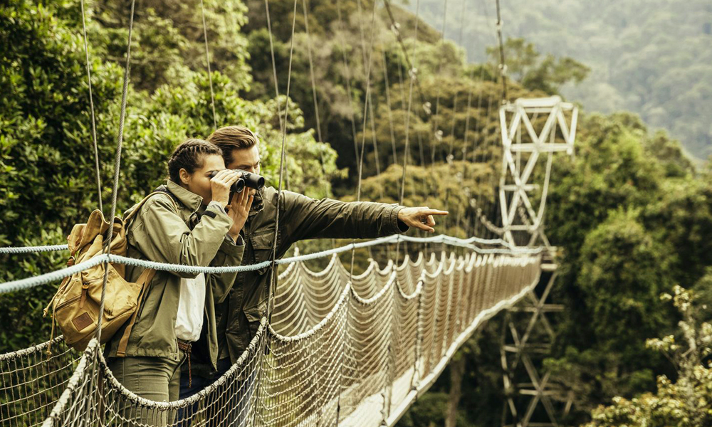 Canopy walk in Nyungwe Forest National Park, Rwanda