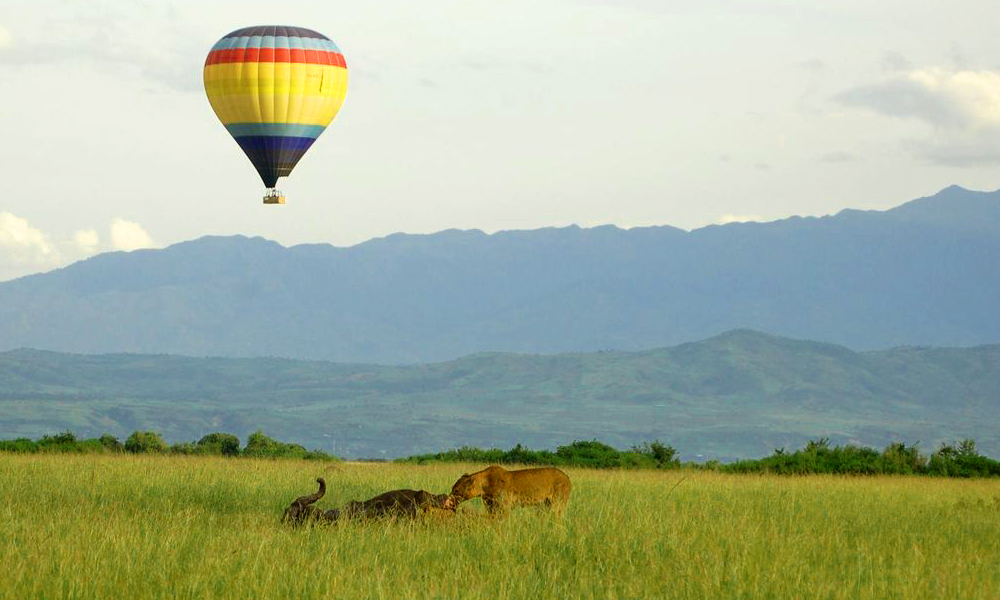 Guests enjoying a hot air balloon safari in Rwanda, also known as a balloon flight safari. 