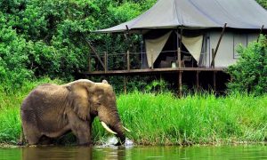 Magashi Camp, Rwanda