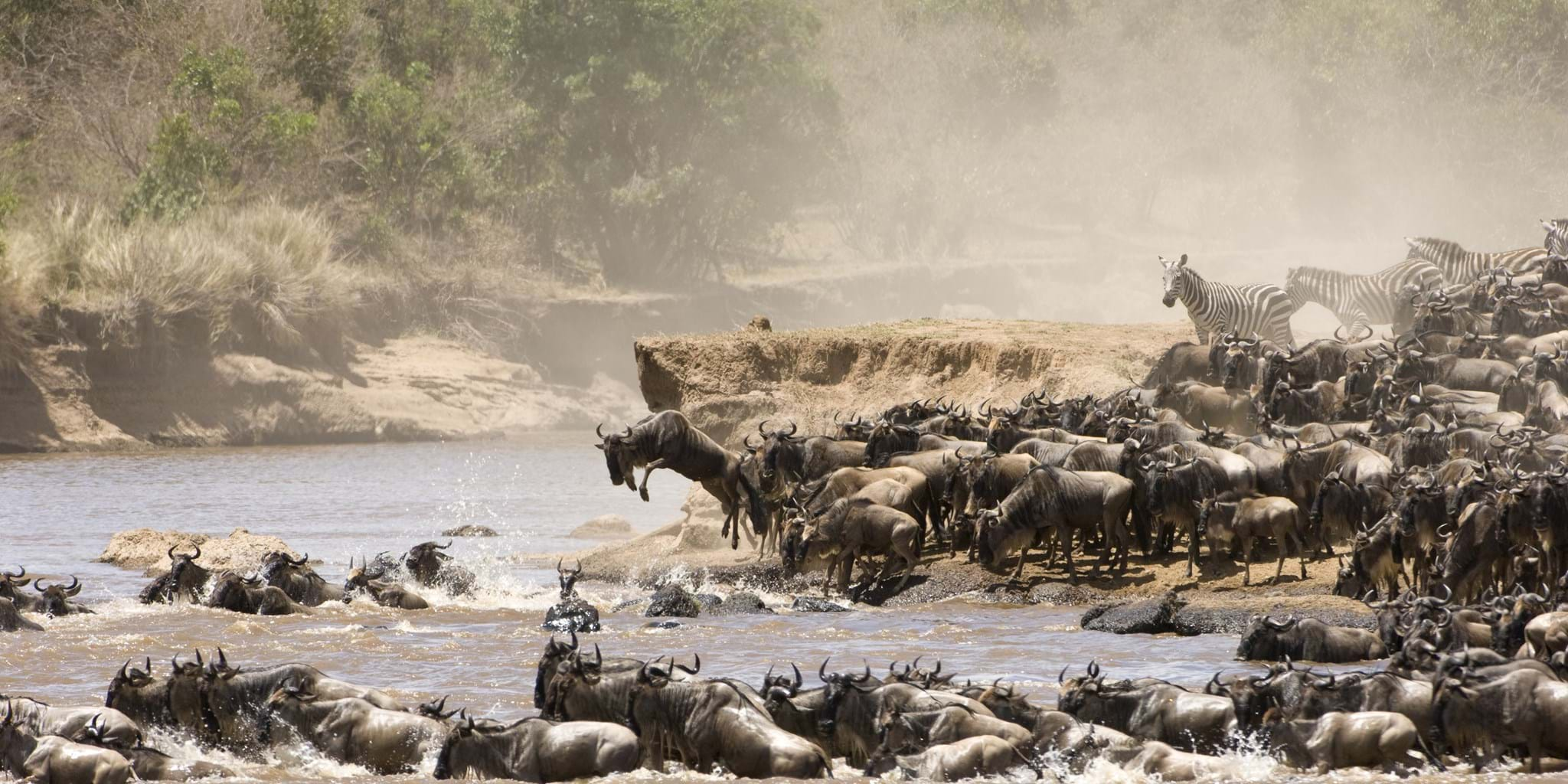 5 Days Masai Mara Safari