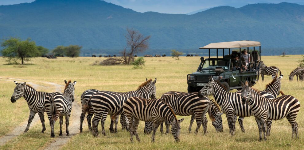 7 Days Lake Nakuru and Masai Mara Park Safari