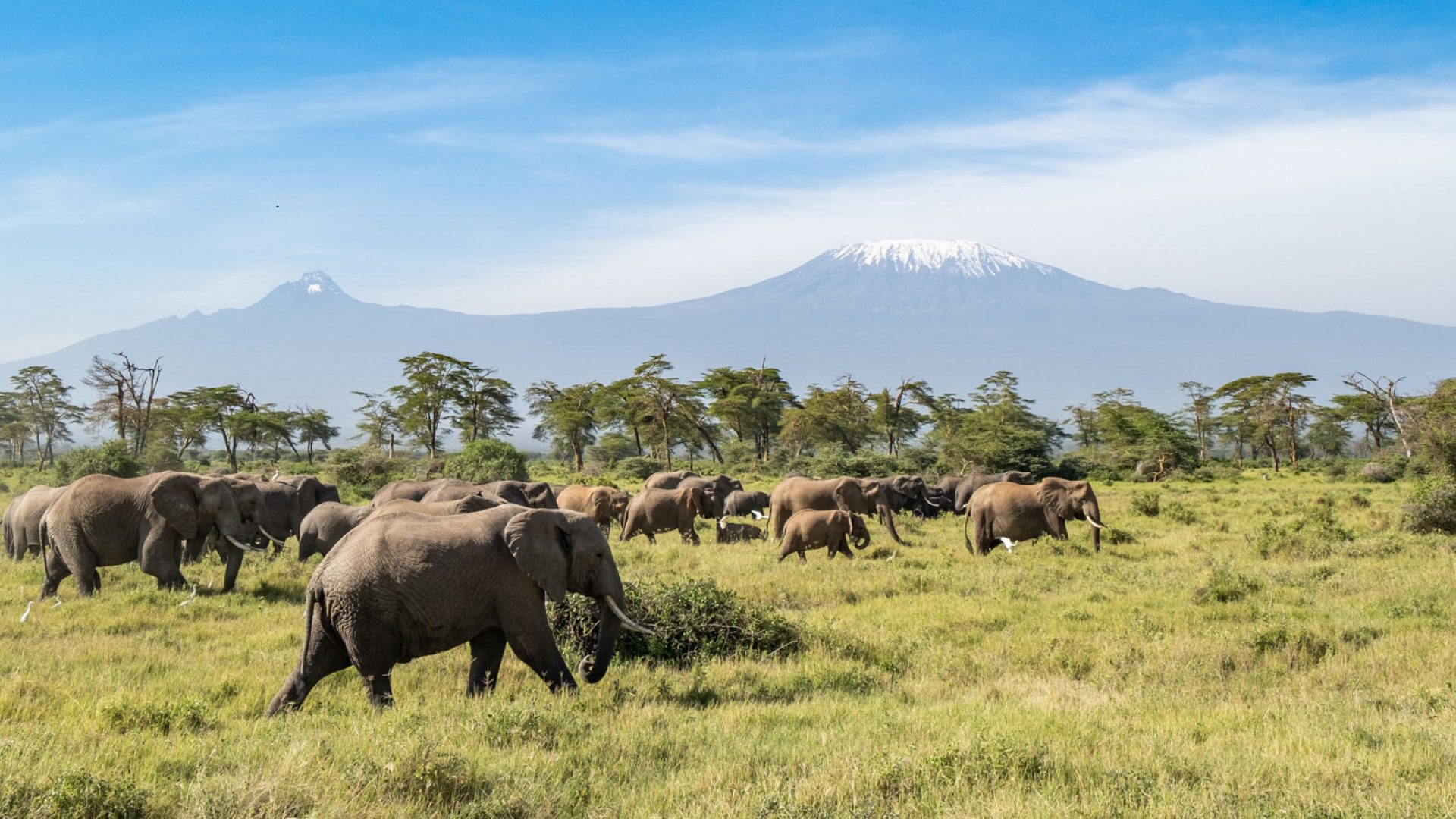 8 Days Kenya Wildlife Experience