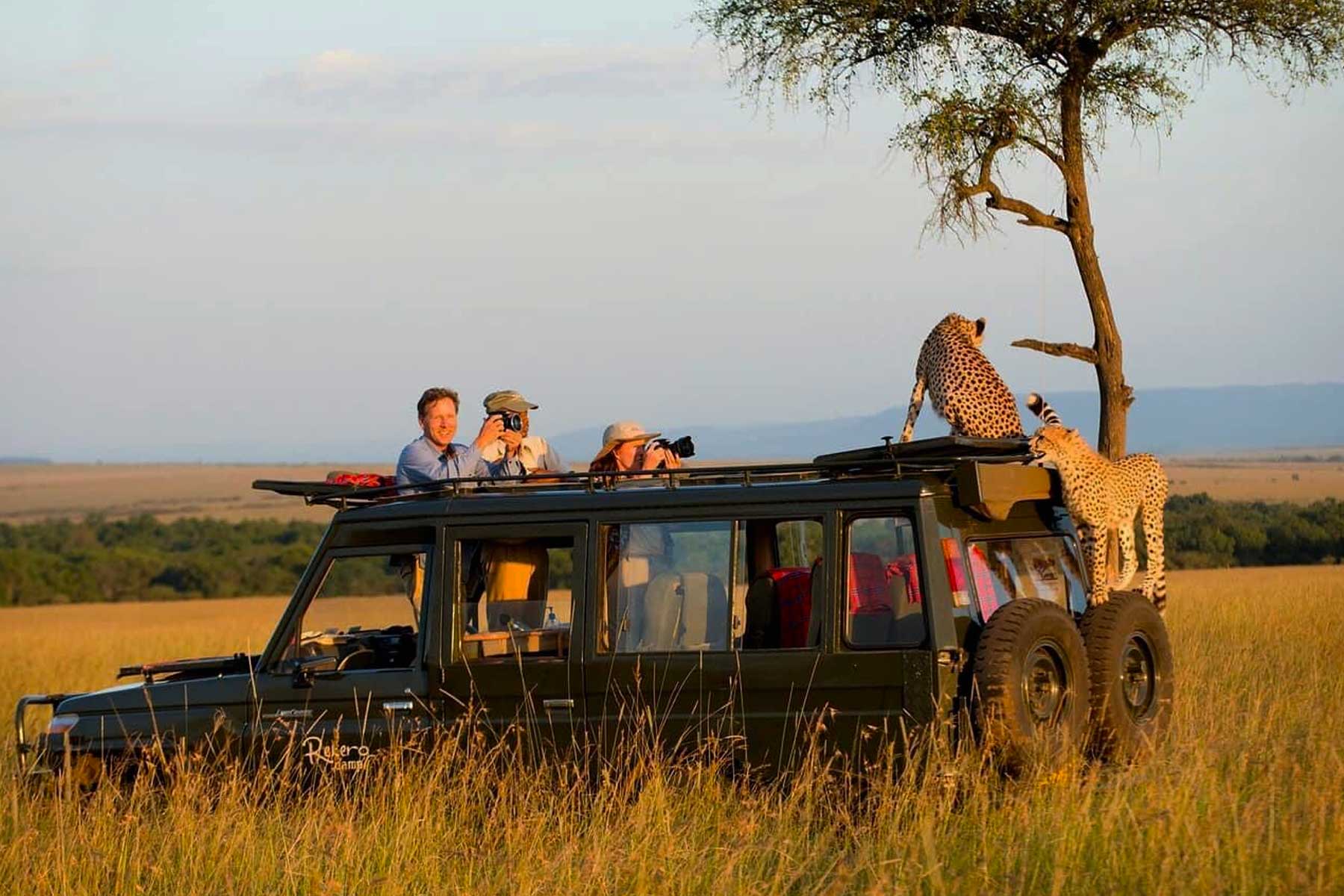 4 Days Serengeti Fly-in and Serval Wildlife Safari