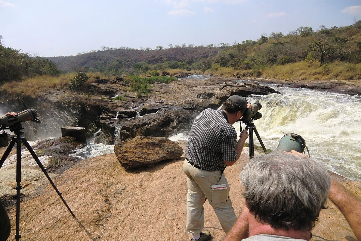 Requirements For Wildlife Filming In Uganda?  