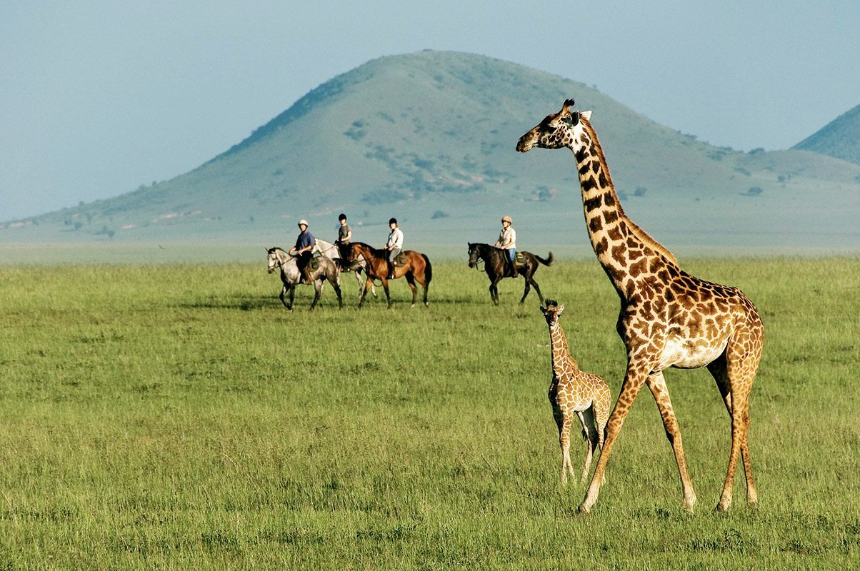 Chyulu Hills National Park