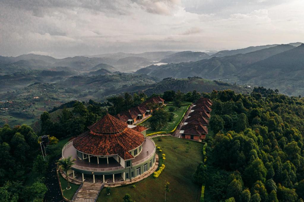 What To Do in Nyungwe Forest National Park?