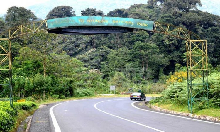 Getting to Nyungwe Forest National Park by Air