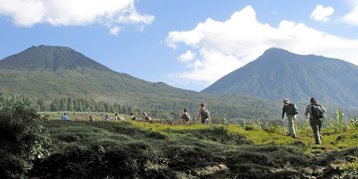 Gorilla Trekking In Volcanoes National Park Rwanda