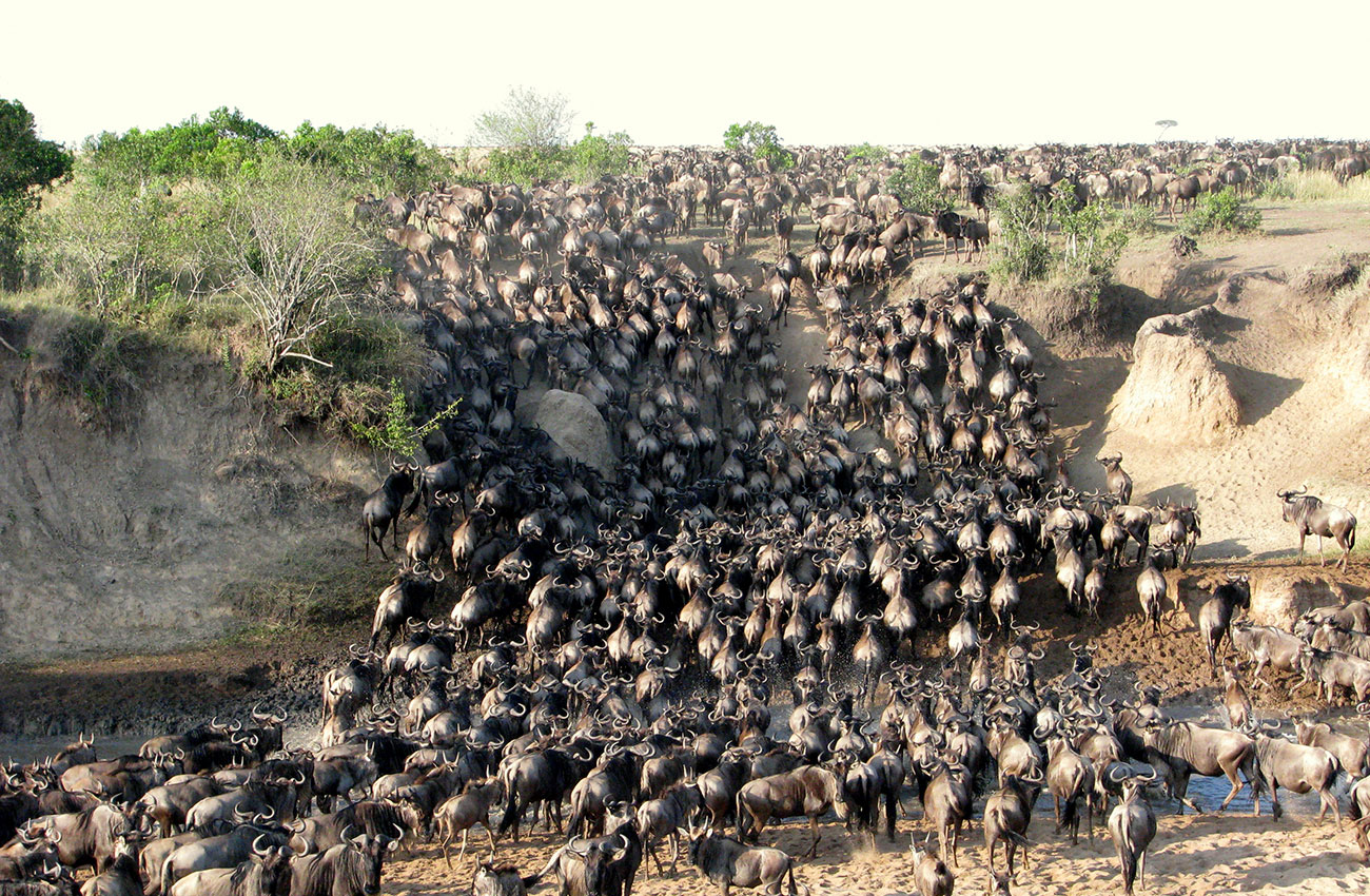 Maasai Mara National Reserve