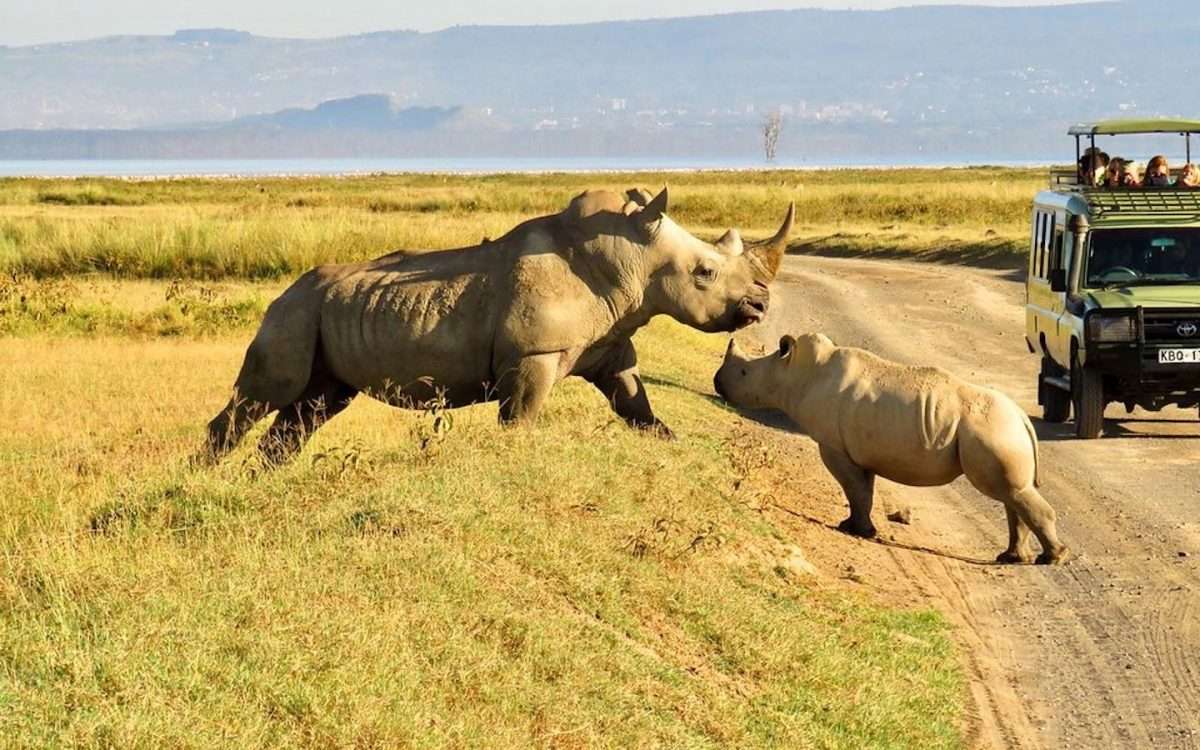 Tsavo West National Park