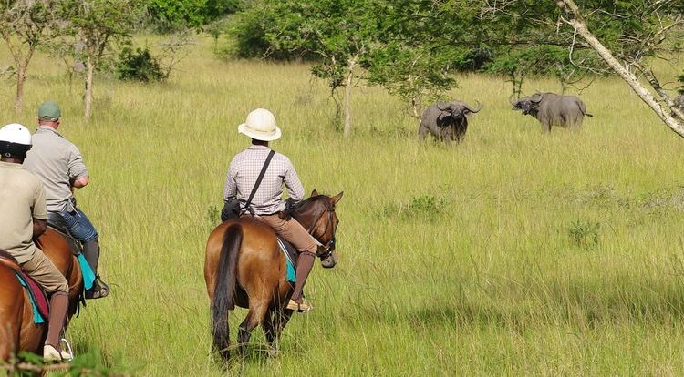 Horseback Rides In Lake Mburo National Park