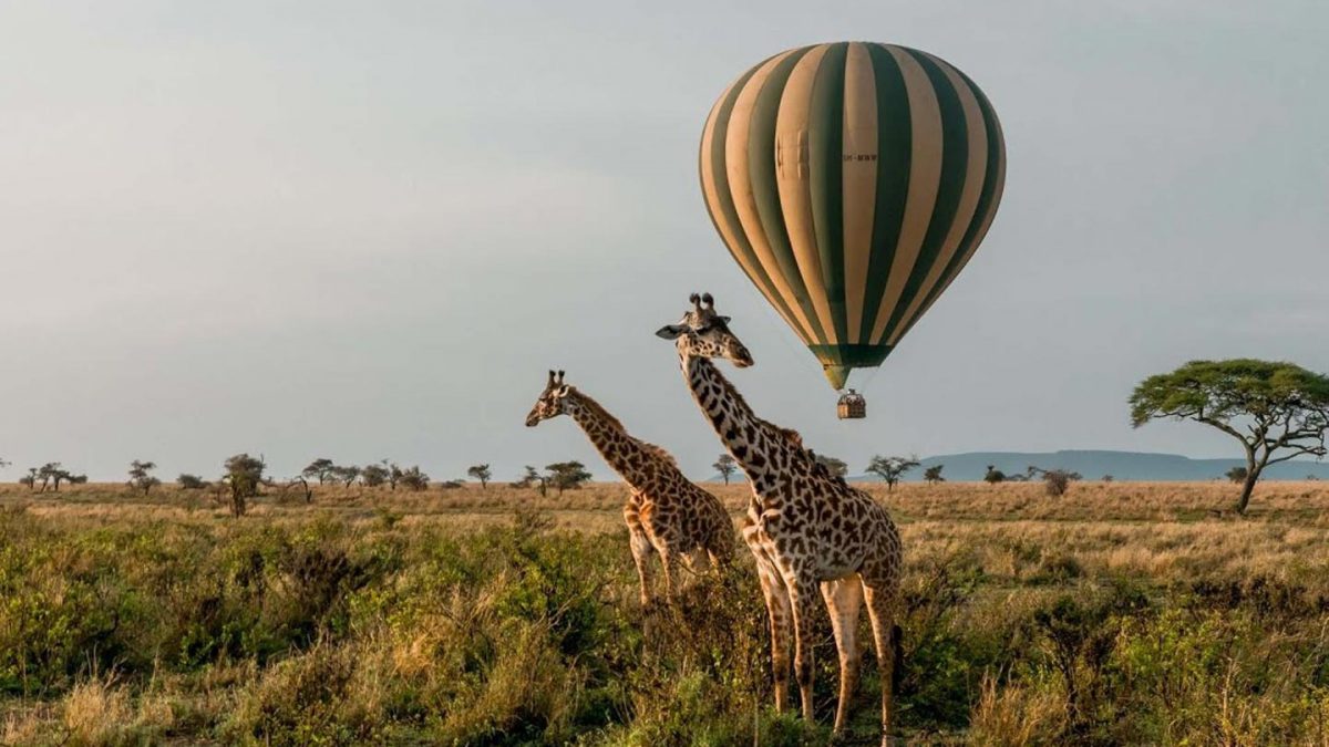 Safari in Murchison Falls National Park